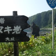 タヌキに見えます