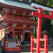 地元の人に守られている指定文化財榎原神社