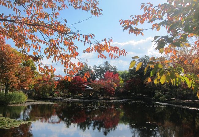 入園無料の日本庭園。紅葉がきれいでした。