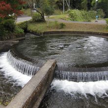 仕切りで7：3に