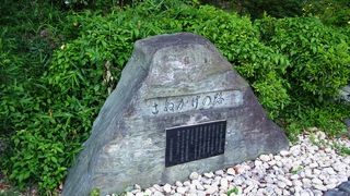 京都市道183号衣笠宇多野線