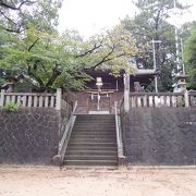 この神社のおまんと祭りは信長の戦勝祝いが起源