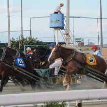 迫力満点です。