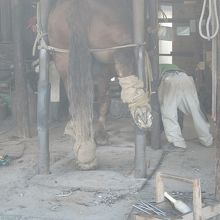 バックヤードツアーにて。蹄鉄の付け替え。