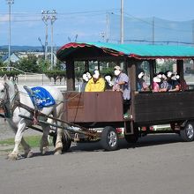 馬車にも乗りました。