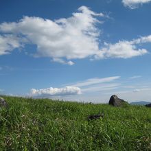 霧ヶ峰高原