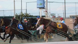 バックヤードツアーが楽しかったです。