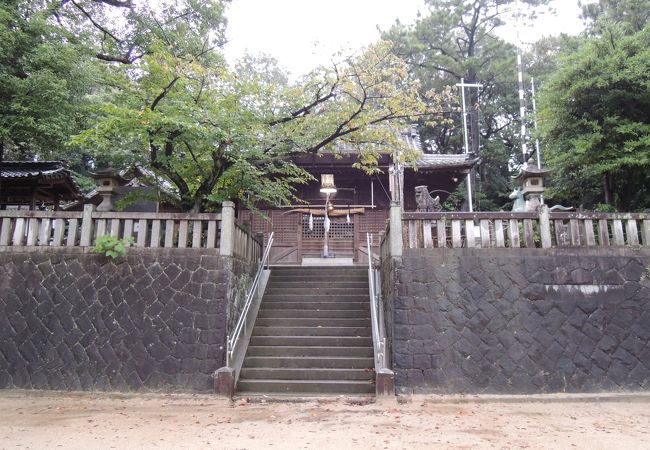 この神社のおまんと祭りは信長の戦勝祝いが起源