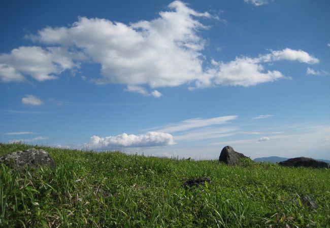 霧ヶ峰高原