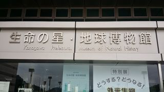 小学生以下は無料！　神奈川県立生命の星 地球博物館で子供と！