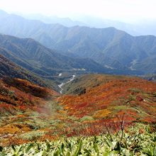 思わず絶景に見とれます