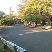 こんな所を毎日ジョギングしたら清々しい気持ちになるでしょうね