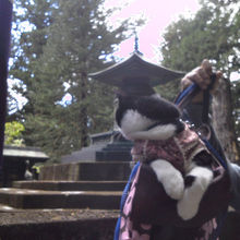 家康の神柩が納められてるんだって！