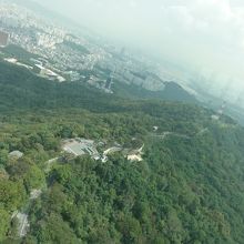 展望台からの景色