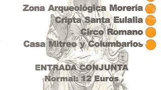 メイン遺跡見学の共通チケット有り