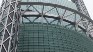 初めて間近で観ました