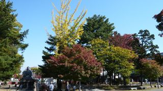 とても広く、綺麗な神社