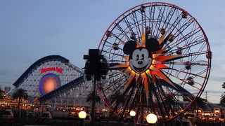 ディズニー最高！