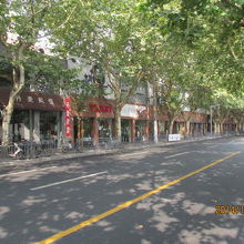 プラタナス並木と商店街。