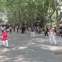 襄陽公園で太極拳をやってます。