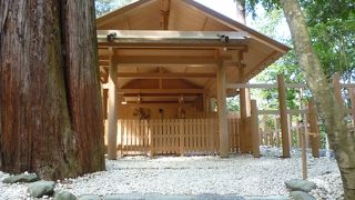 お願い事をしました