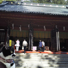 お参りにゃ！シンプルでかっこいい！