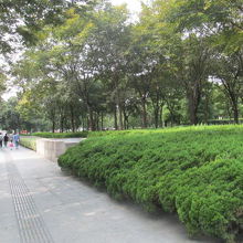 右側は全て公園です。