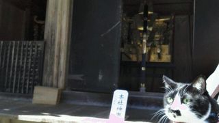 御神輿がありました。