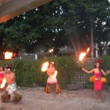 ショーの始まり。