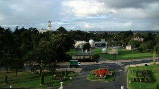 広大な公園内でピクニックは?