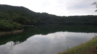 なぜだかネコが多い