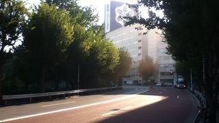 緑が多く歩くのが楽しい坂