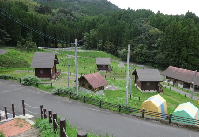 住吉池公園 キャンプ村