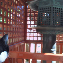 お化け出るの!?