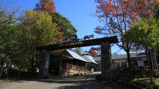 小さい子向けなんで、シニアにも楽しめる内容にすればいいなあ～。