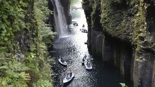 朝早く行くのがおすすめ