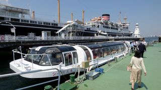 横浜クルージング シーバス