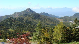 様々な自然に接することが出来る爽快なエリア