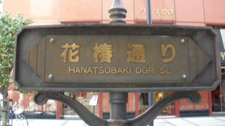 椿の咲く頃に行ってみたい