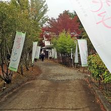 いくらなんでもこの「のぼり」の多さはやりすぎではなかろうか？