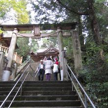 下からだとこの石段