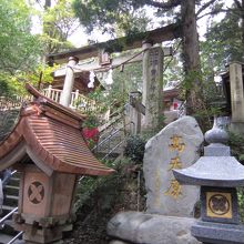 車で来ても最後はこの石段を登ります