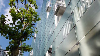 青空に映える！