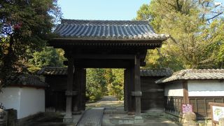 公園というかお墓