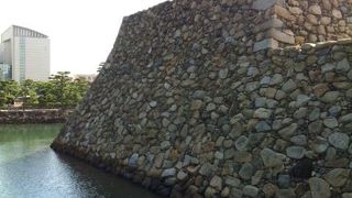 お堀にフグやタイが泳いでいます。