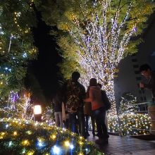 SHINJUKU サザンライツ in タカシマヤタイムズスクエア