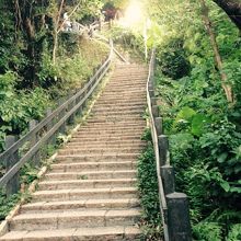 この階段を登って行きます