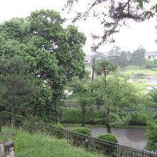 脇の丘から俯瞰で庭園を眺める