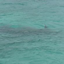 グレムディウ・ビーチ近くに沈むゼロ戦