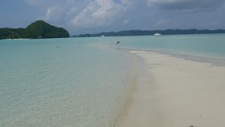 世界遺産・パラオで行きたい場所のひとつ「ロングビーチ｣